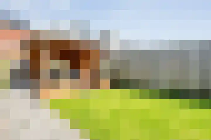 Fruitweidestraat 45 Zwolle thumbnail 33