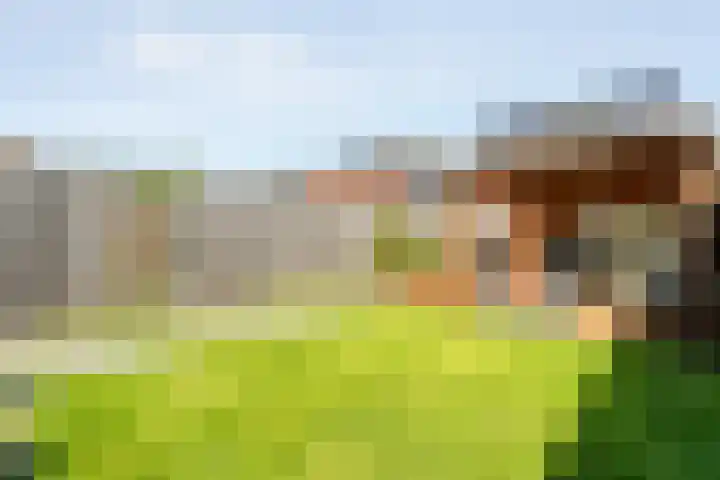 Fruitweidestraat 45 Zwolle thumbnail 34