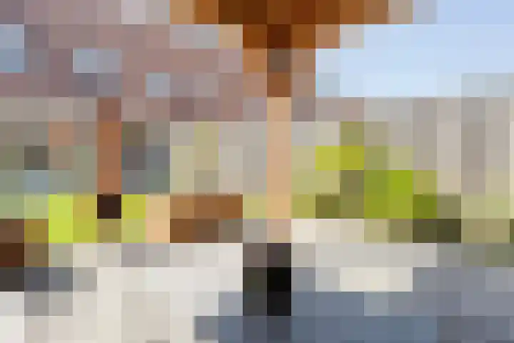 Fruitweidestraat 45 Zwolle thumbnail 36
