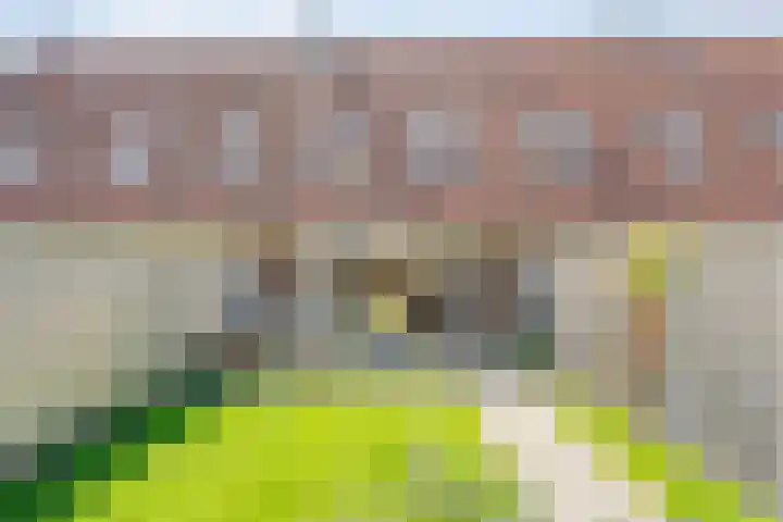 Fruitweidestraat 45 Zwolle thumbnail 39