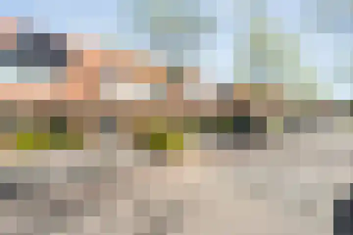 Fruitweidestraat 45 Zwolle thumbnail 4