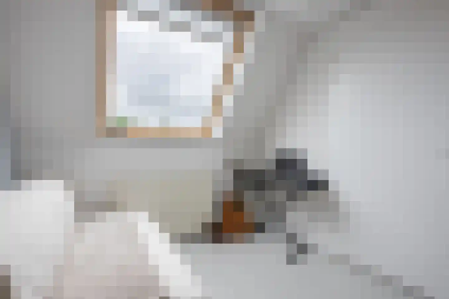 Fruitweidestraat 48 Zwolle thumbnail 32