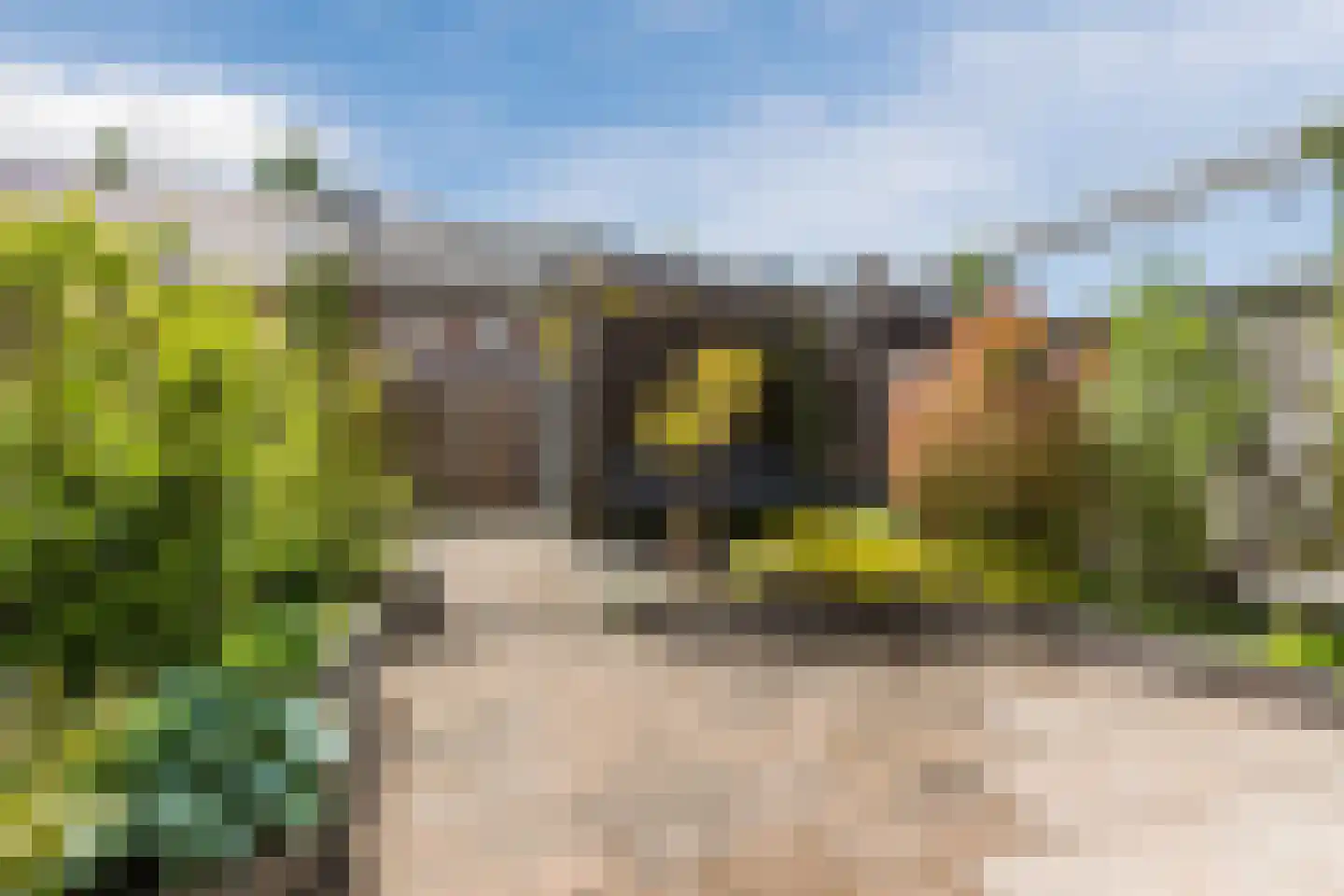Fruitweidestraat 48 Zwolle thumbnail 35