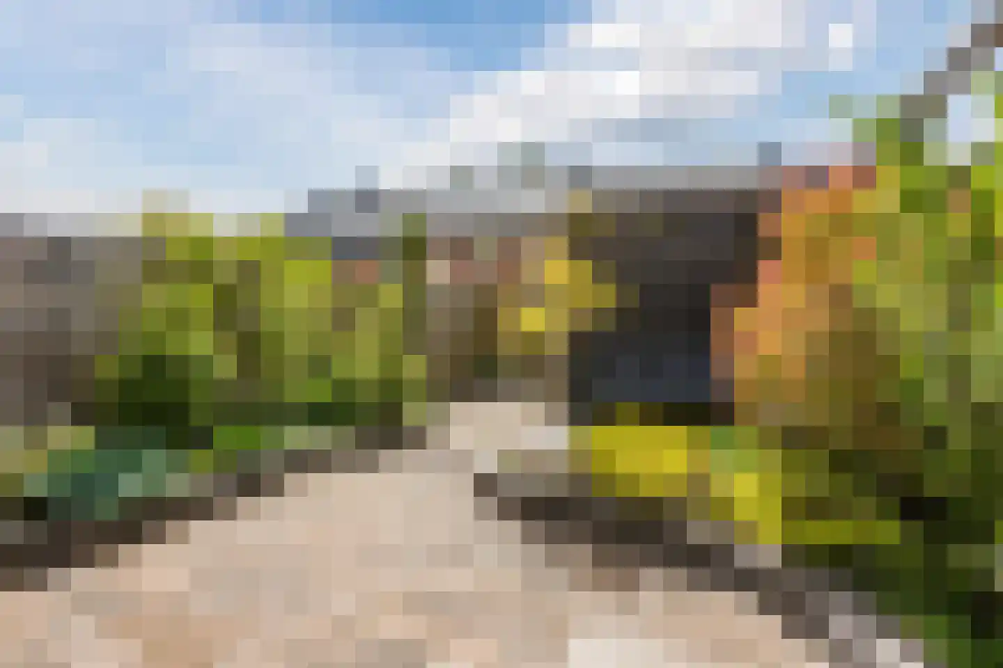 Fruitweidestraat 48 Zwolle thumbnail 37