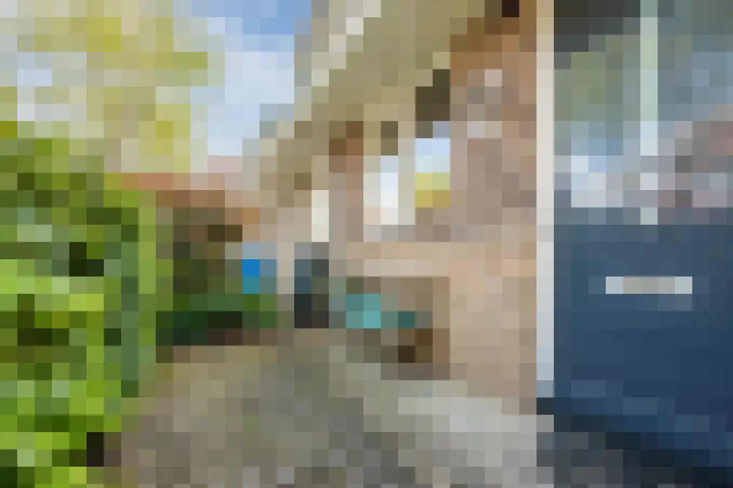 Fruitweidestraat 48 Zwolle thumbnail 7