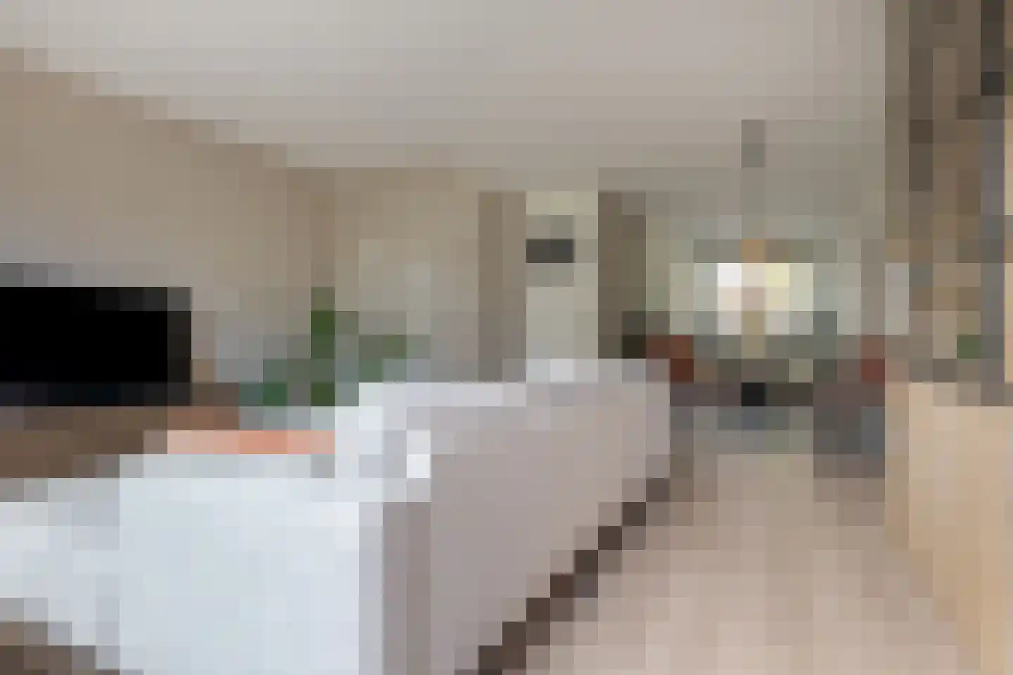 Fruitweidestraat 55 Zwolle thumbnail 11