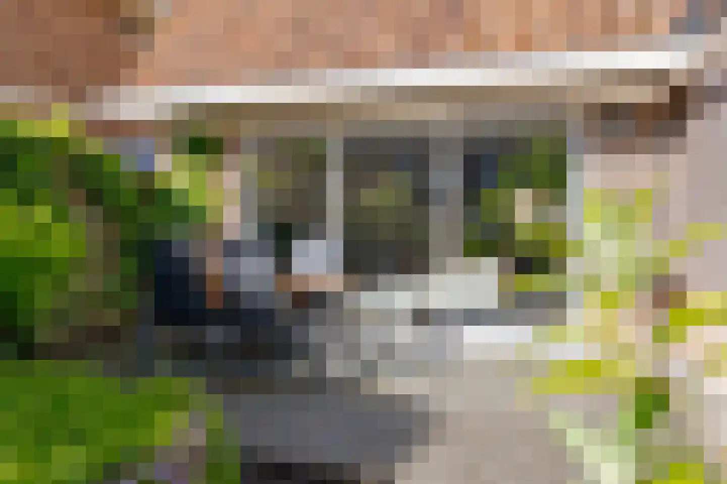 Fruitweidestraat 55 Zwolle thumbnail 25