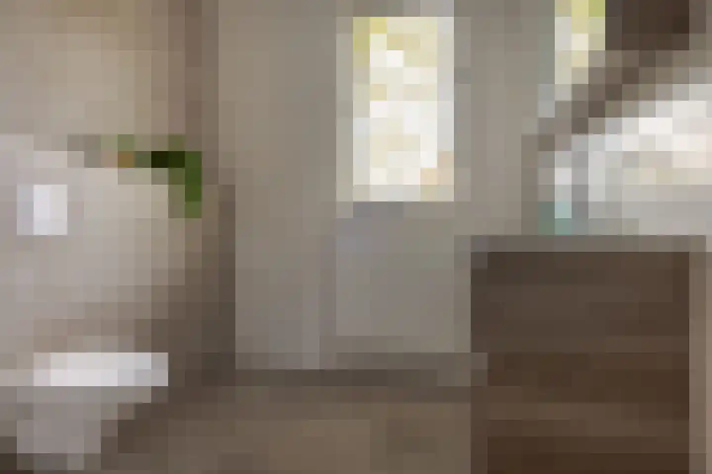 Fruitweidestraat 55 Zwolle thumbnail 34