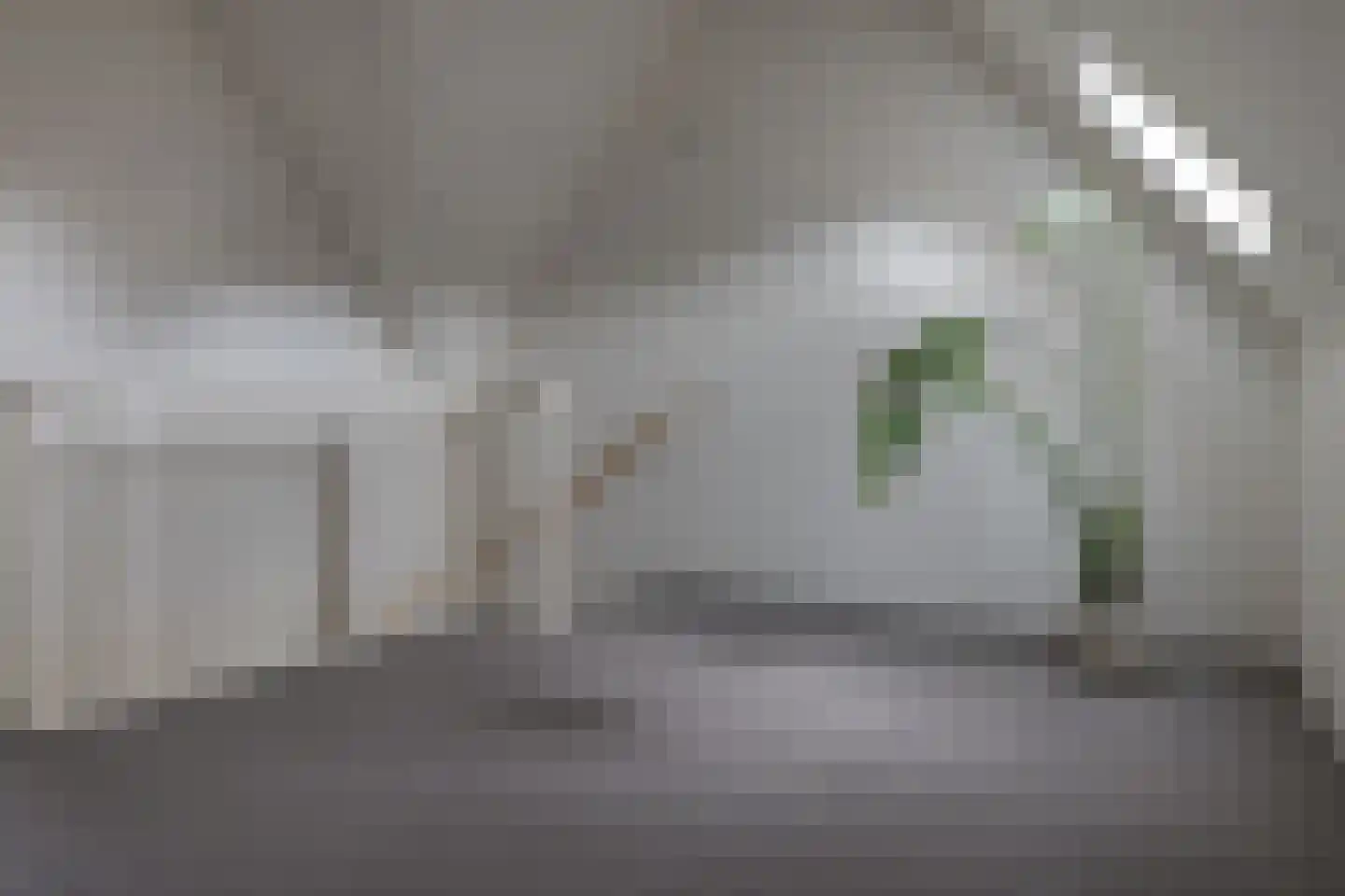 Fruitweidestraat 55 Zwolle thumbnail 40