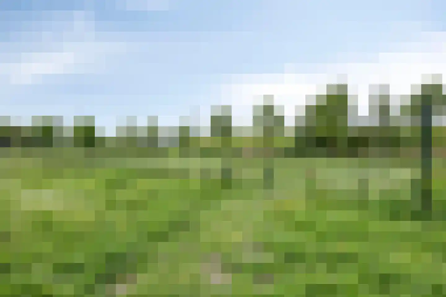 Fruitweidestraat 70 Zwolle thumbnail 38