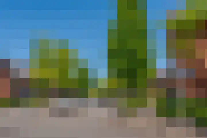 Fruitweidestraat 70 Zwolle thumbnail 5