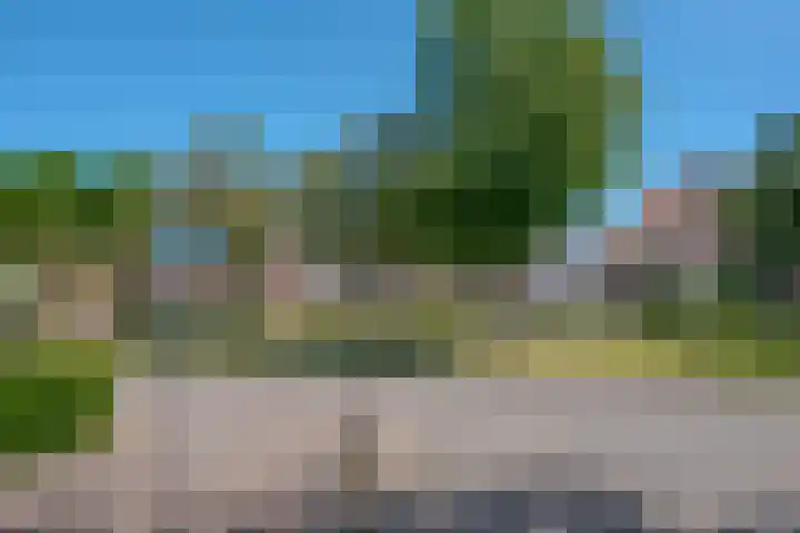 Fruitweidestraat 70 Zwolle thumbnail 6