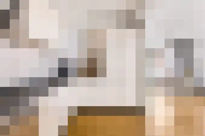 Fryhofke 9 Raerd thumbnail 16