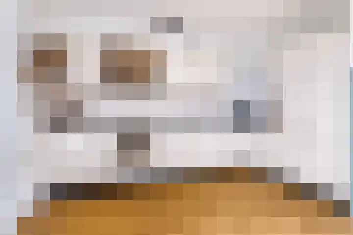 Fryhofke 9 Raerd thumbnail 17