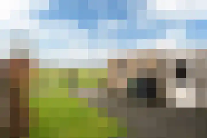Fryhofke 9 Raerd thumbnail 21