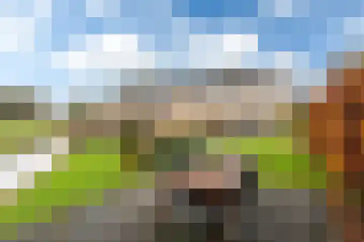 Fryhofke 9 Raerd thumbnail 22