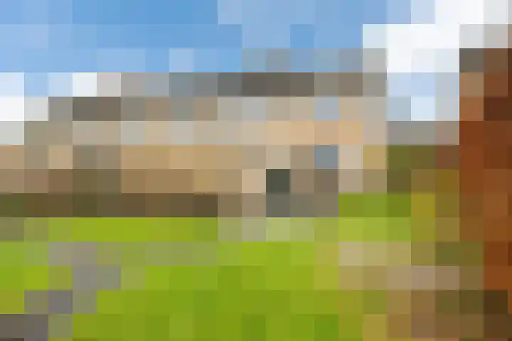 Fryhofke 9 Raerd thumbnail 23