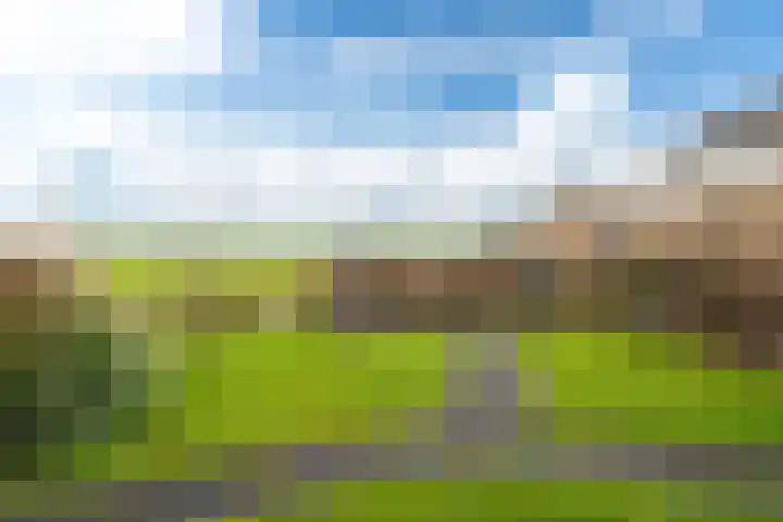 Fryhofke 9 Raerd thumbnail 24