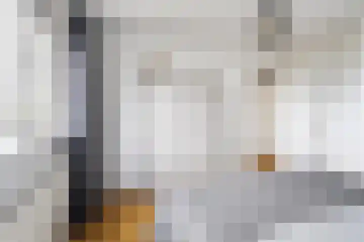 Fryhofke 9 Raerd thumbnail 32
