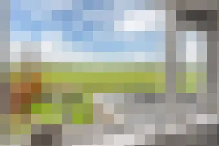Fryhofke 9 Raerd thumbnail 33
