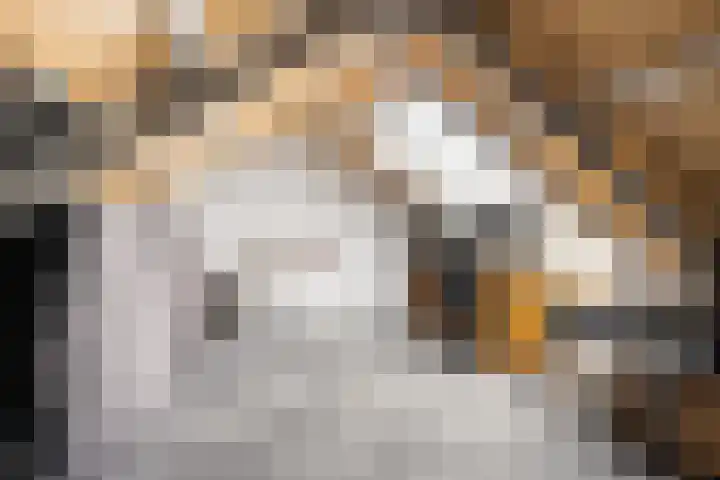 Fryhofke 9 Raerd thumbnail 41