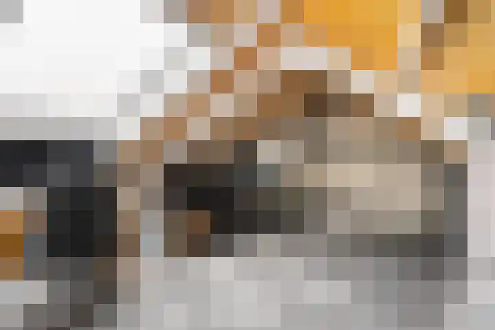 Fryhofke 9 Raerd thumbnail 42