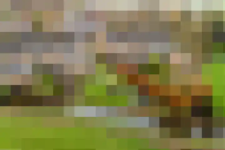 Fryhofke 9 Raerd thumbnail 47
