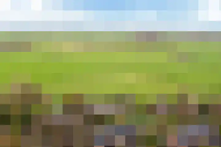 Fryhofke 9 Raerd thumbnail 48