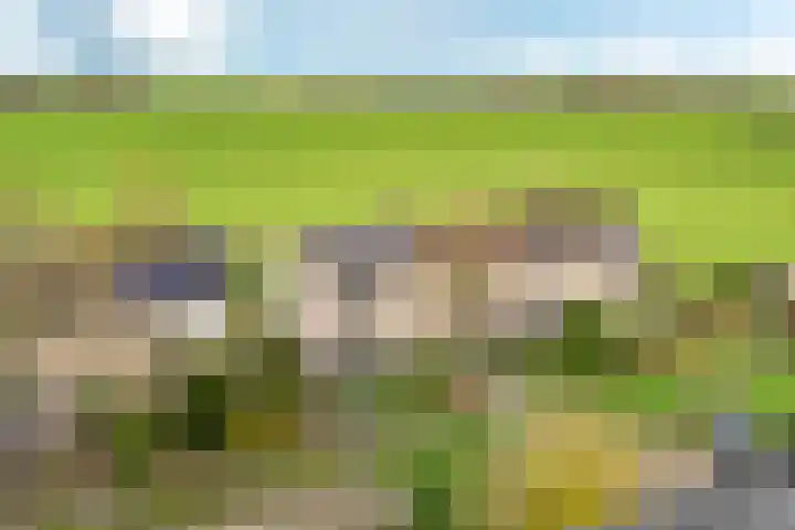 Fryhofke 9 Raerd thumbnail 5