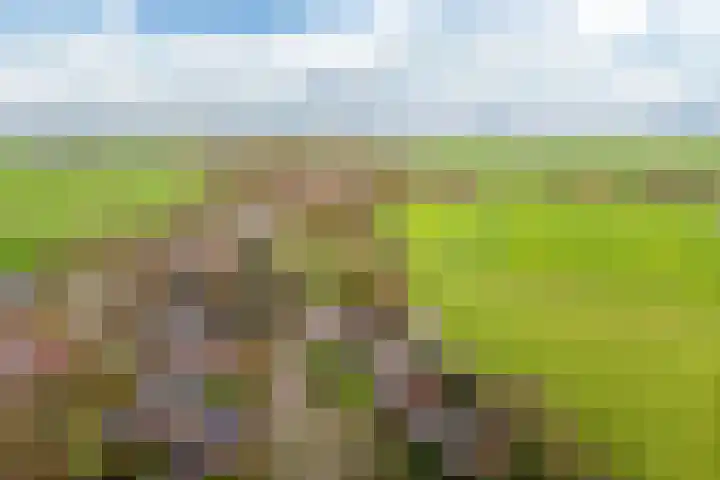 Fryhofke 9 Raerd thumbnail 6