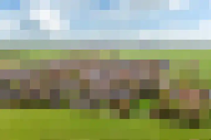 Fryhofke 9 Raerd thumbnail 7