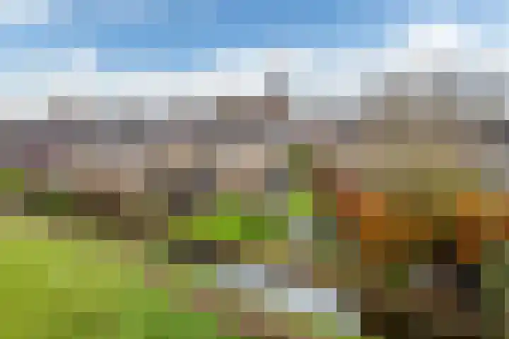 Fryhofke 9 Raerd thumbnail 8