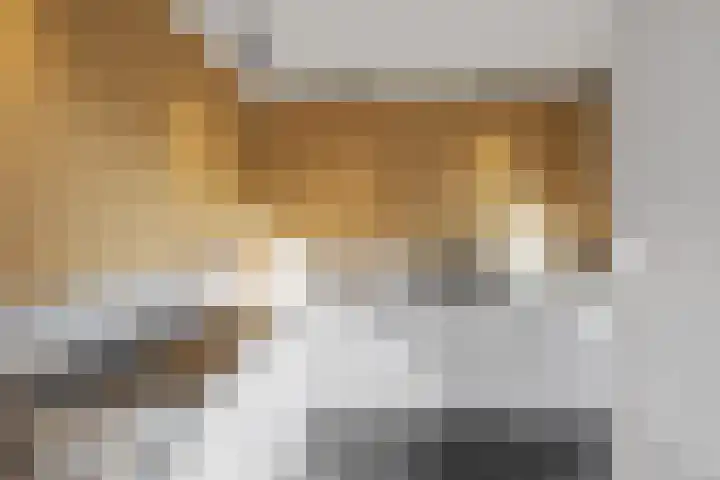 Fuchsiaberg 16 Roosendaal thumbnail 16