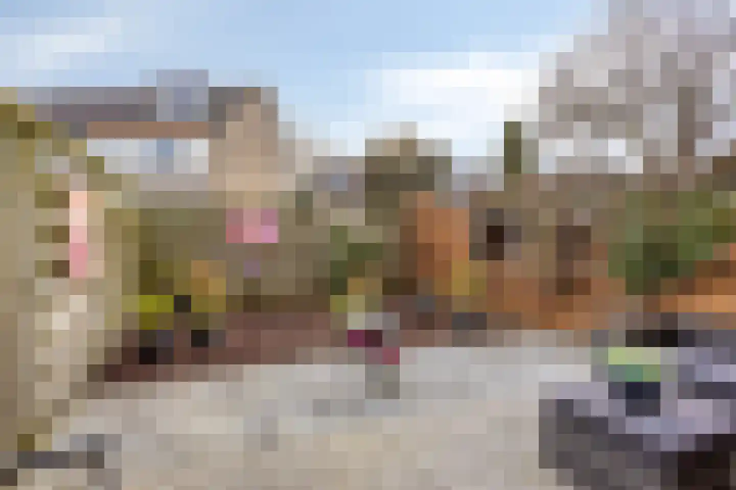 Fuchsiadal 20 Leiden thumbnail 36