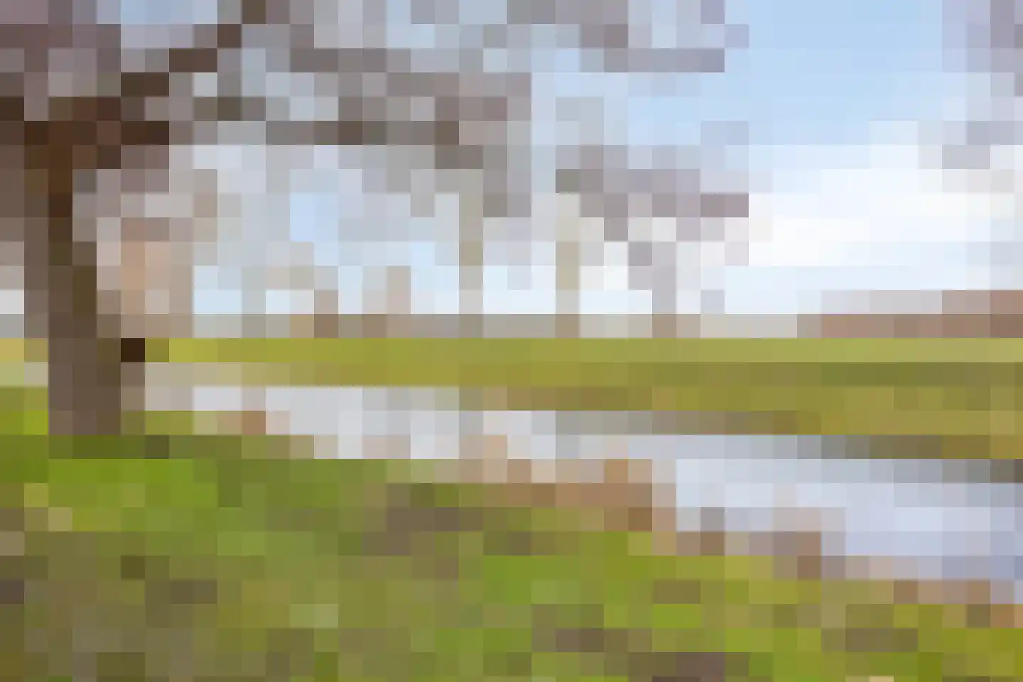 Fuchsiadal 20 Leiden thumbnail 41