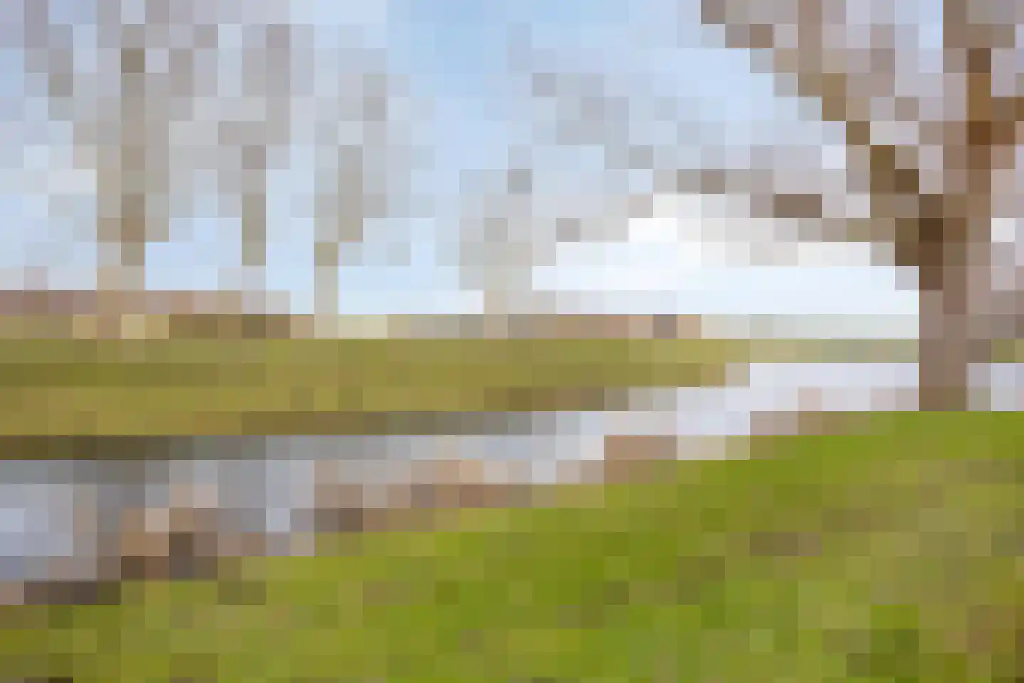 Fuchsiadal 20 Leiden thumbnail 42