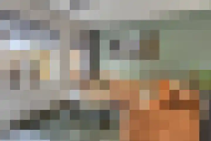 Fuchsialaan 35 Yerseke thumbnail 10