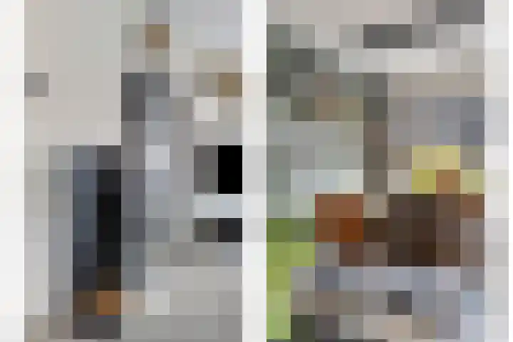 Fuchsialaan 35 Yerseke thumbnail 13