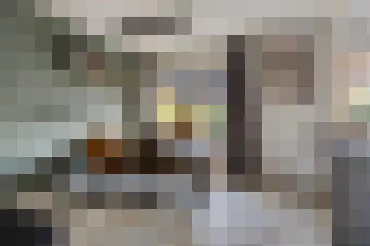 Fuchsialaan 35 Yerseke thumbnail 14