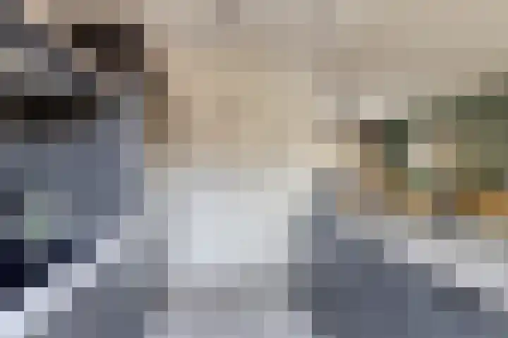 Fuchsialaan 35 Yerseke thumbnail 18