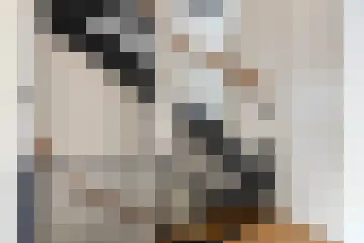 Fuchsialaan 35 Yerseke thumbnail 21