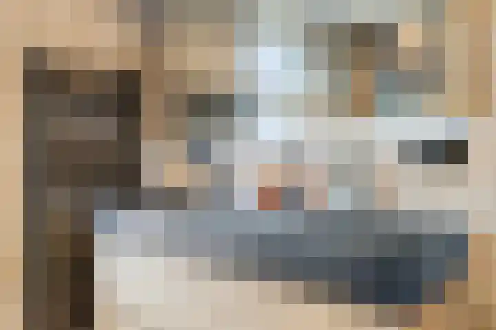 Fuchsialaan 35 Yerseke thumbnail 27