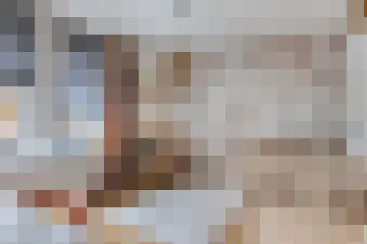 Fuchsialaan 35 Yerseke thumbnail 28