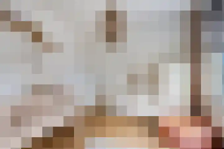 Fuchsialaan 35 Yerseke thumbnail 29