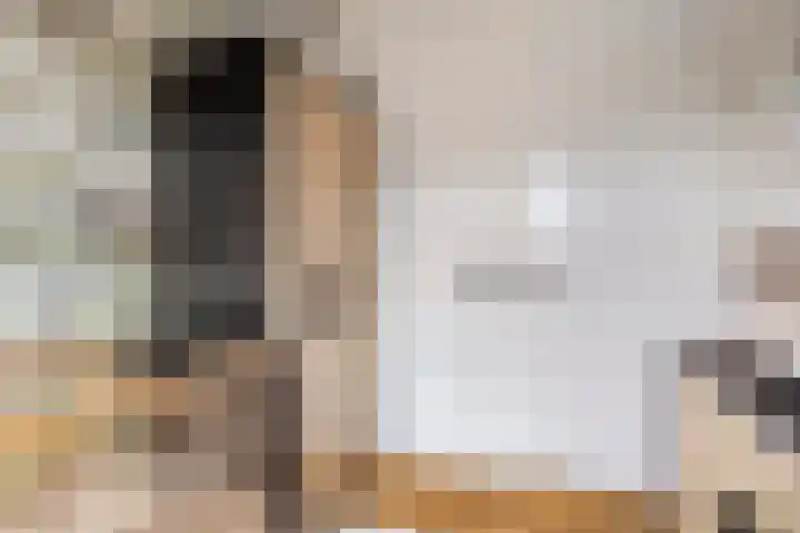 Fuchsialaan 35 Yerseke thumbnail 31