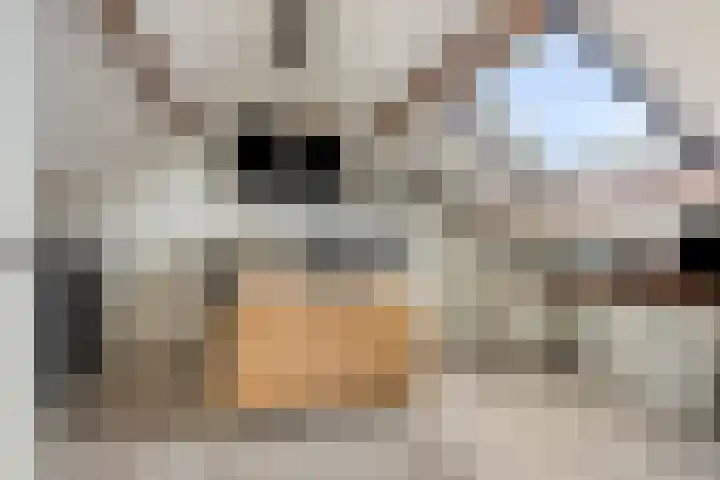 Fuchsialaan 35 Yerseke thumbnail 32