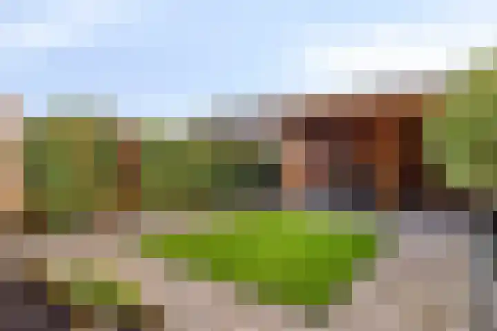 Fuchsialaan 35 Yerseke thumbnail 34