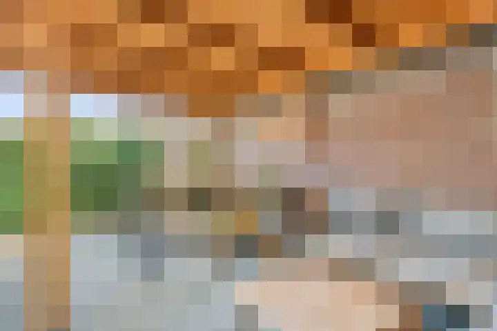 Fuchsialaan 35 Yerseke thumbnail 36