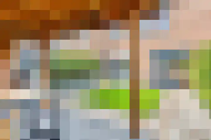 Fuchsialaan 35 Yerseke thumbnail 39