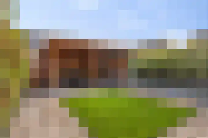 Fuchsialaan 35 Yerseke thumbnail 4